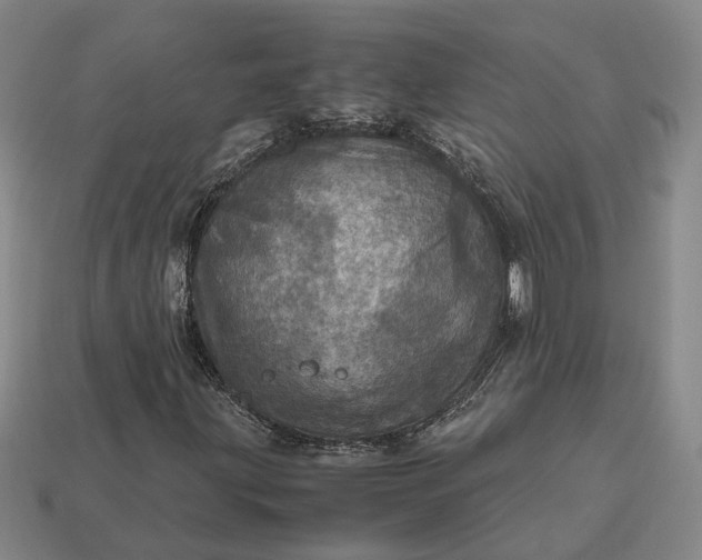 X0000112971203200909101646