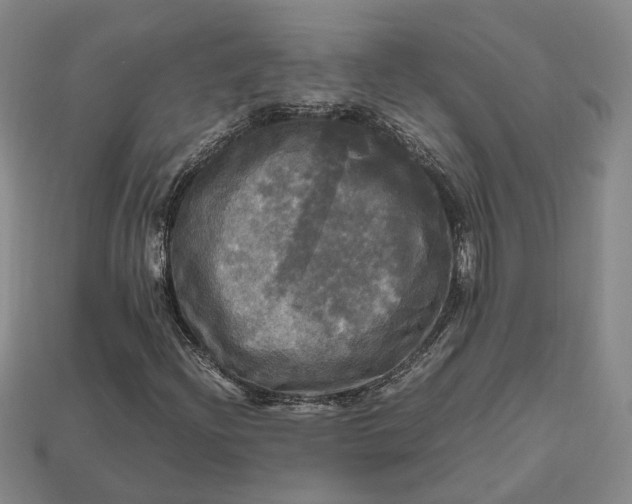 X0000112971204200909101646