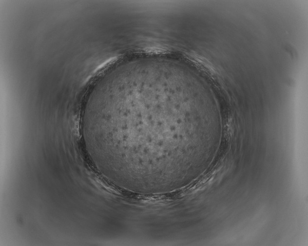 X0000112971205200909101646