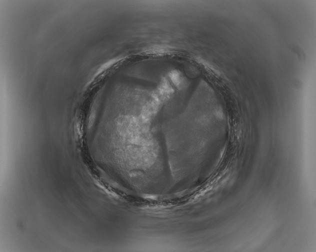 X0000112971206200909101646