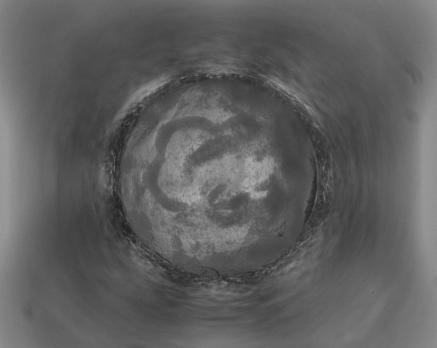 X0000112971207200909101646