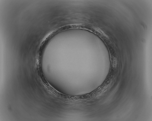 X0000112971208200909101646