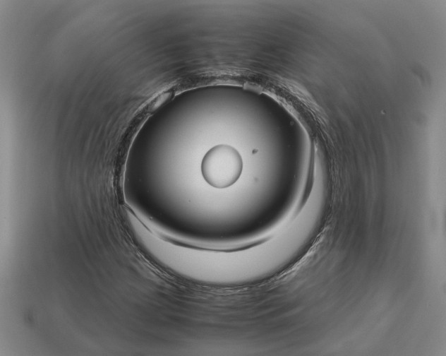 X0000112971209200909101646