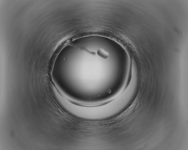 X0000112971210200909101646