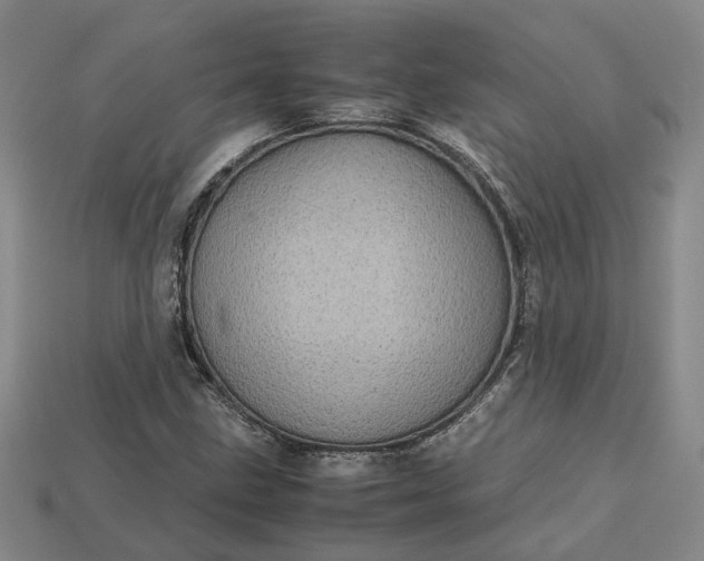 X0000112971211200909101646