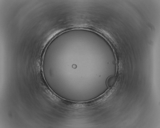 X0000112971212200909101646