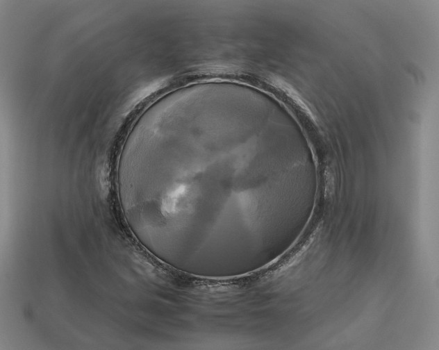 X0000112971213200909101646