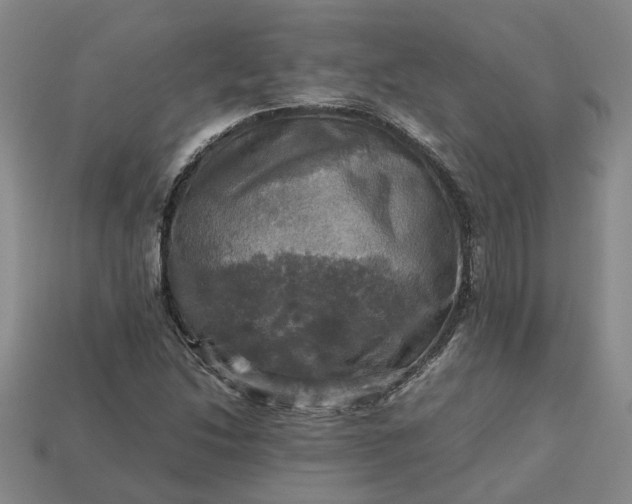 X0000112971214200909101646