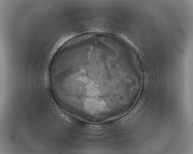 X0000112971215200909101646