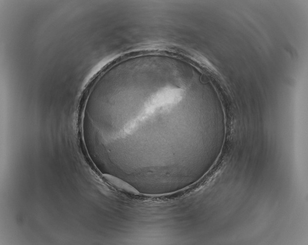 X0000112971216200909101646