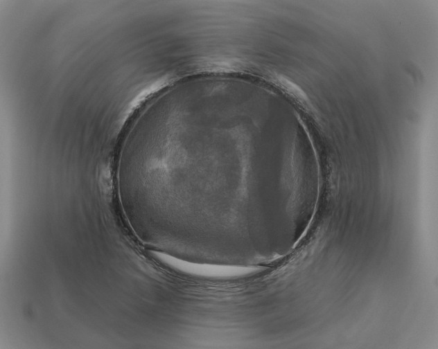 X0000112971218200909101646