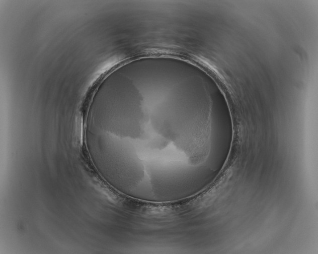 X0000112971219200909101646