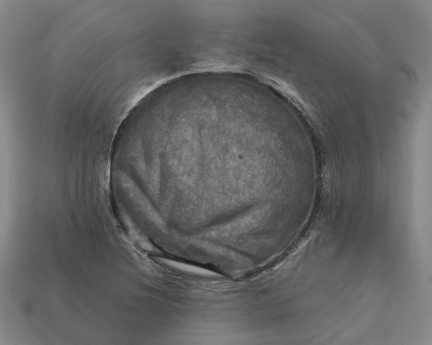 X0000112971220200909101646