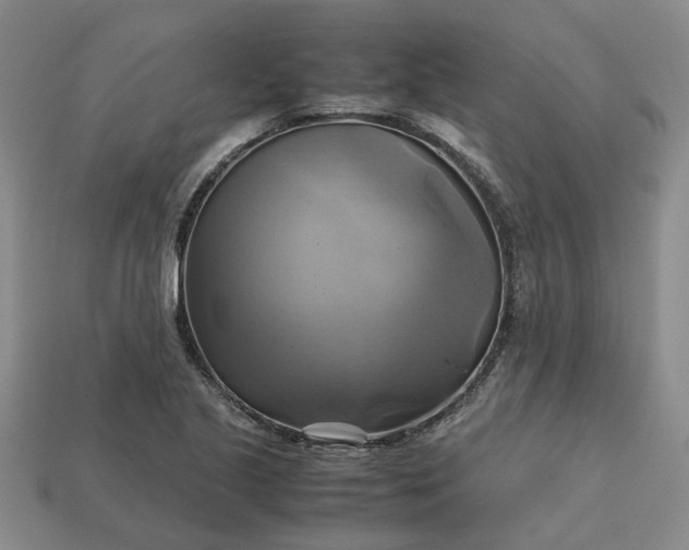 X0000112971221200909101646