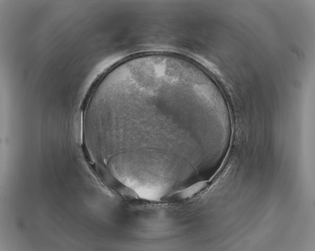 X0000112971223200909101646