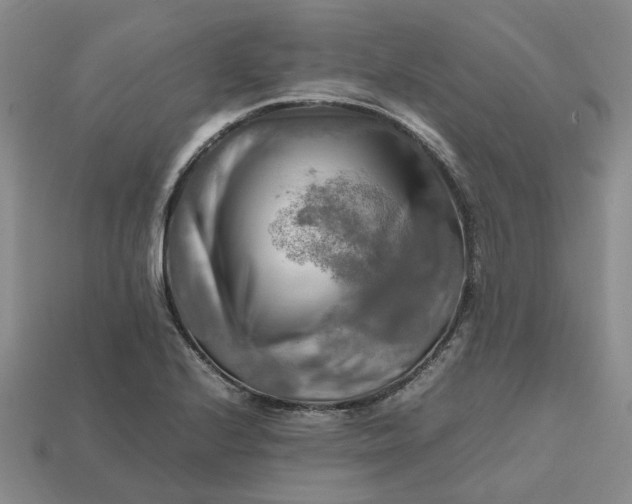 X0000112971224200909101646