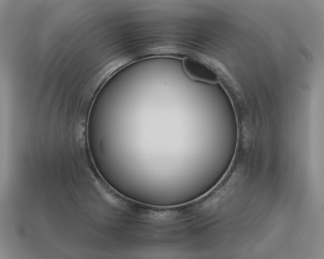 X0000112971225200909101646