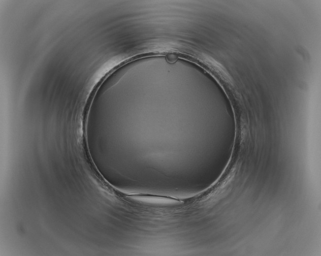 X0000112971226200909101646