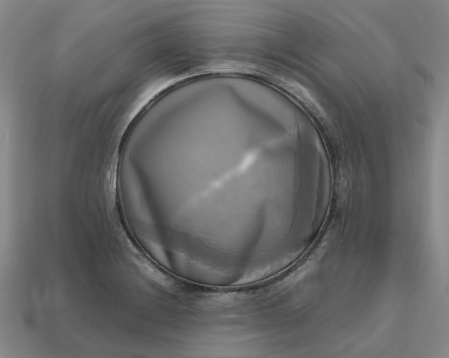 X0000112971228200909101646