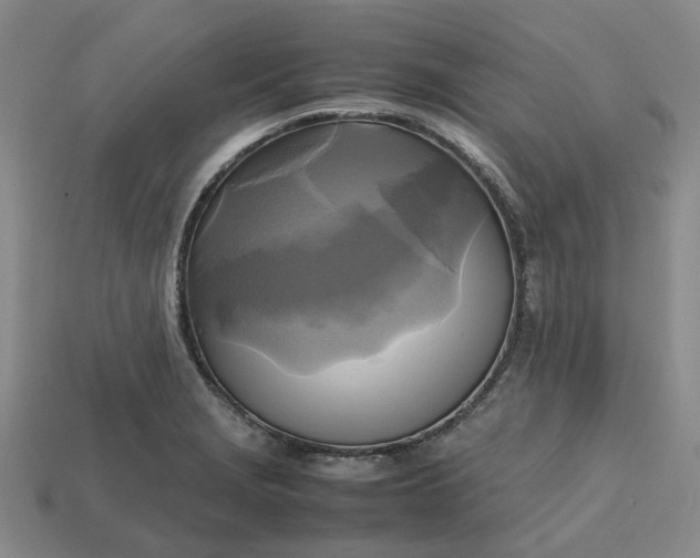 X0000112971229200909101646