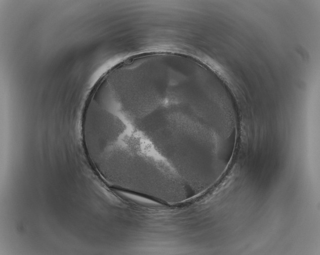 X0000112971230200909101646