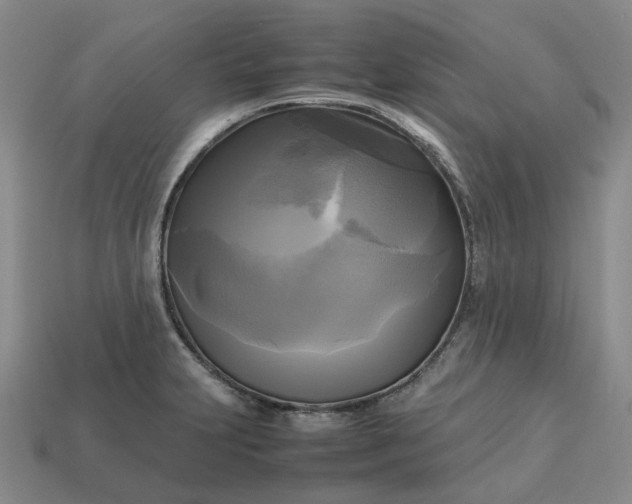 X0000112971231200909101646