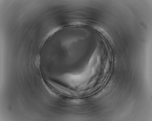 X0000112971233200909101646