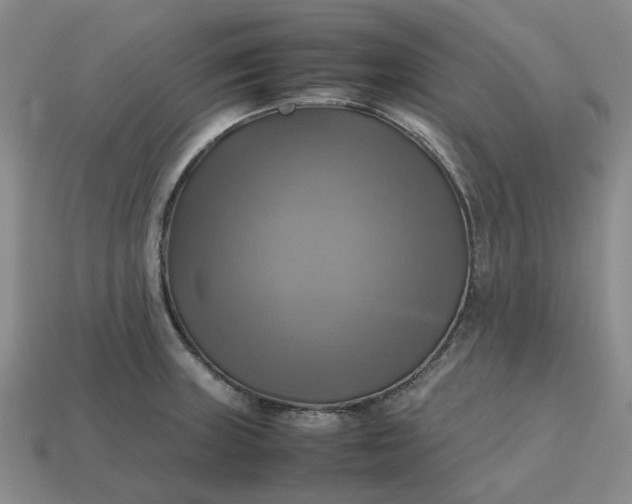 X0000112971235200909101646