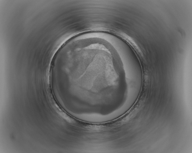 X0000112971236200909101646