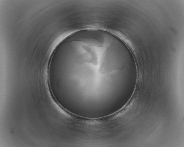 X0000112971239200909101646