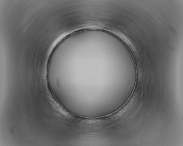 X0000112971240200909101646