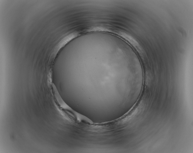 X0000112971241200909101646