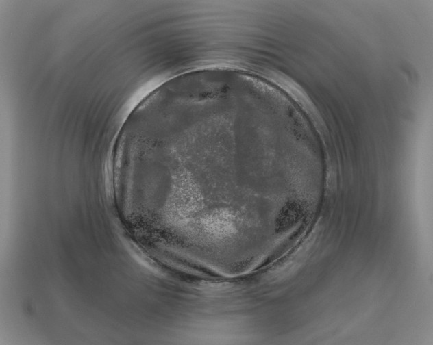 X0000112971242200909101646