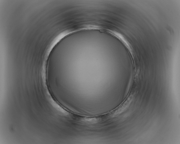 X0000112971243200909101646