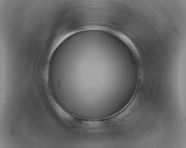 X0000112971244200909101646