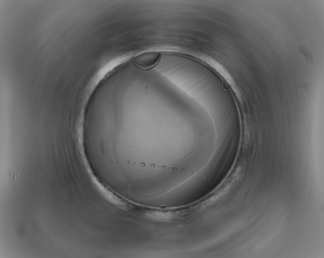 X0000112971245200909101646