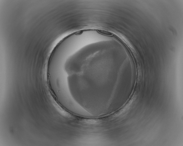 X0000112971246200909101646