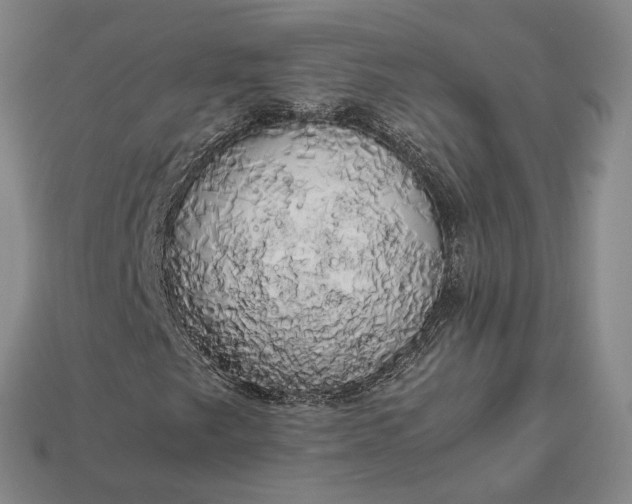 X0000112971249200909101646