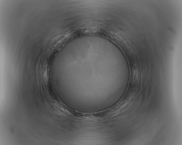 X0000112971250200909101646