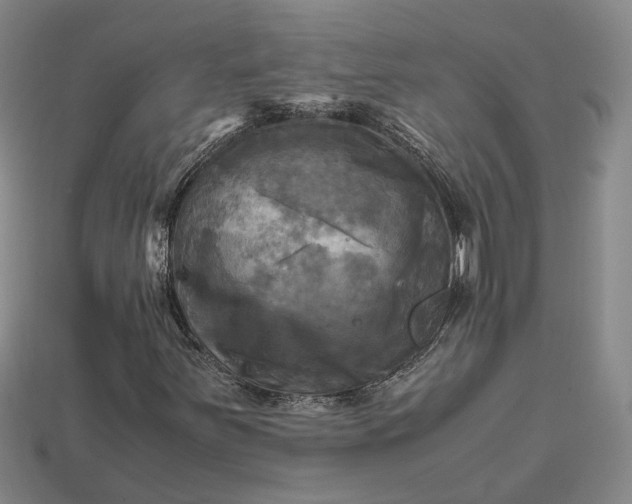 X0000112971251200909101646