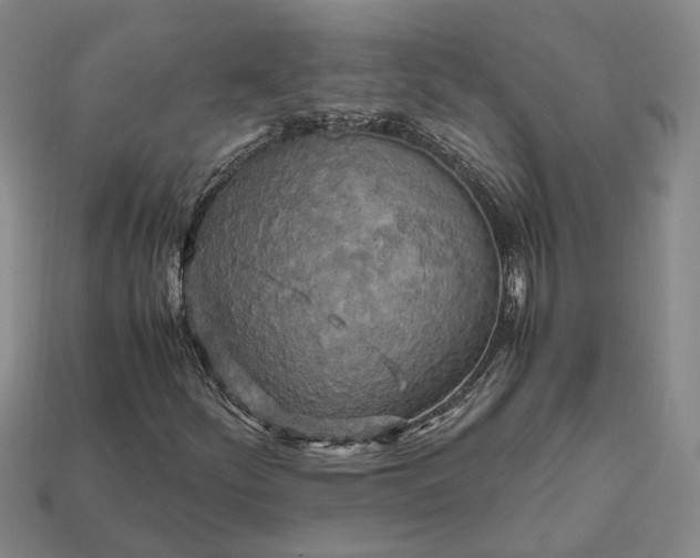 X0000112971252200909101646