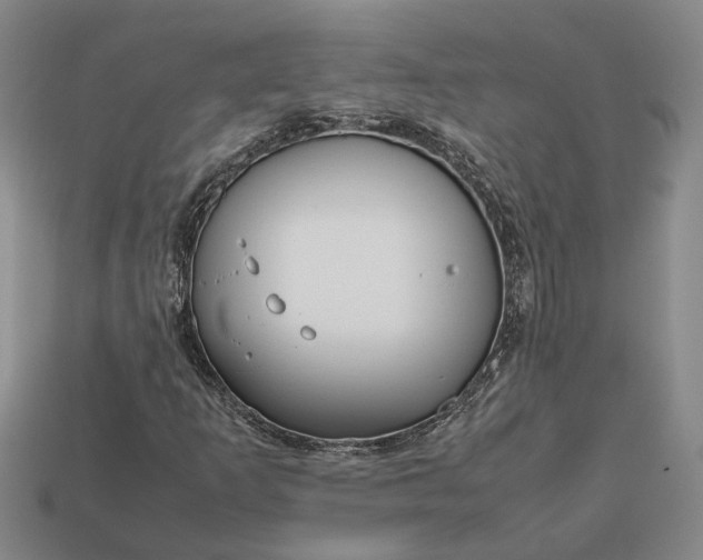 X0000112971253200909101646