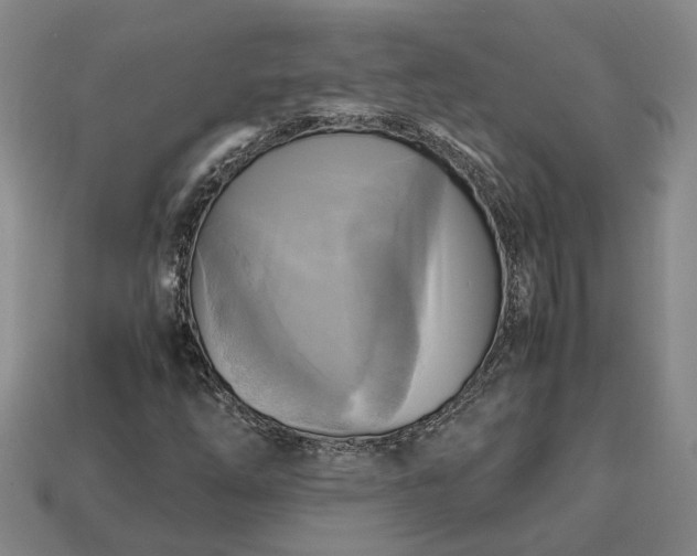 X0000112971254200909101646