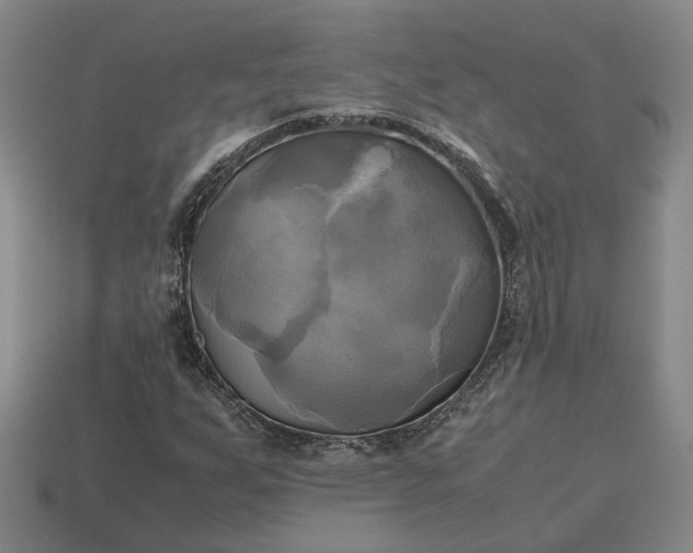 X0000112971255200909101646