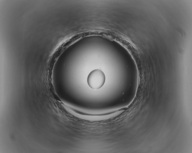 X0000112971256200909101646