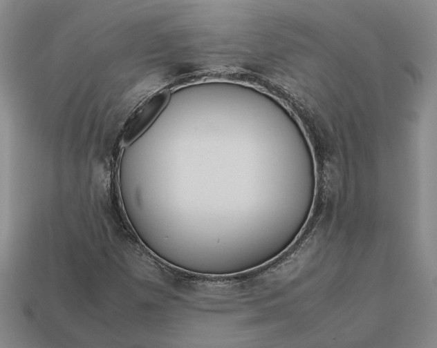 X0000112971257200909101646