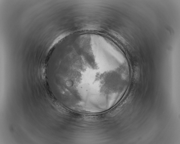 X0000112971258200909101646