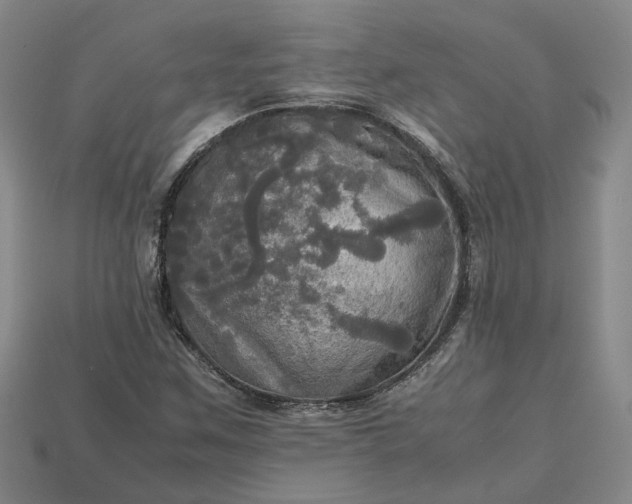 X0000112971259200909101646