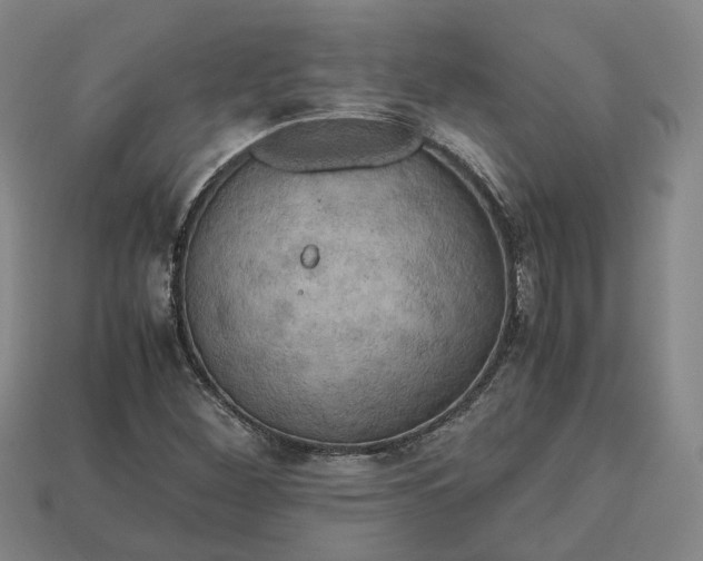 X0000112971260200909101646