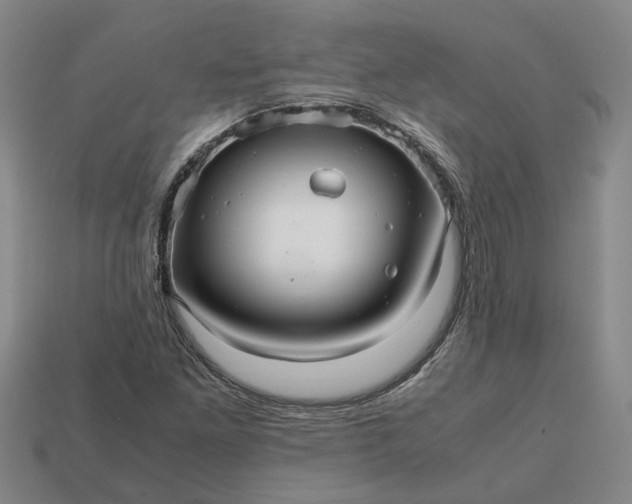 X0000112971261200909101646